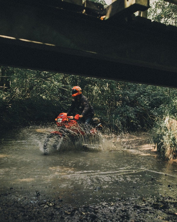 Sunday Scramble by Mykola Romanovsky